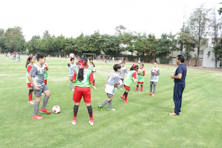 Futbolito Bimbo 2019