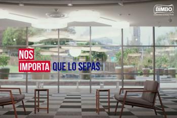 adiós al osito bimbo