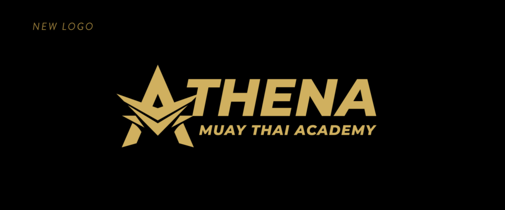example of a redesigned good muay thai boxing logo.png